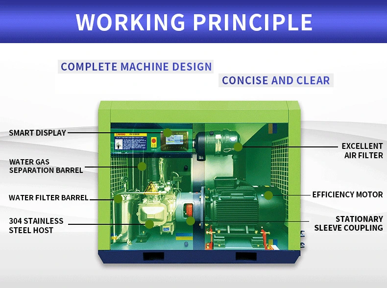 High Quality Industrial Oil Free Screw Air Compressor 110kw Rotary Compressor for Special Gas